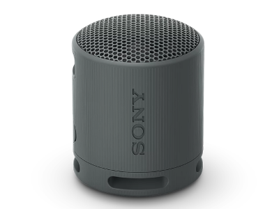 Sony XB100 Portable Wireless Speaker in Black - SRSXB100/B