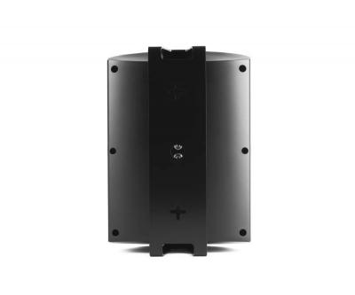 Definitive Technology 6.5" Two-Way Surface-Mount Dymension Outdoor Speaker - AW650 (B)