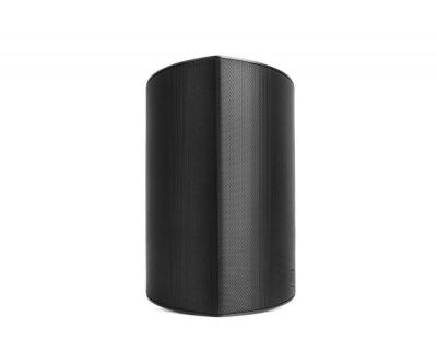 Definitive Technology 6.5" Two-Way Surface-Mount Dymension Outdoor Speaker - AW650 (B)