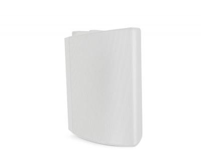 Definitive Technology 6.5" Two-Way Surface-Mount Dymension Outdoor Speaker - AW650 (W)