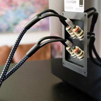 SVSound SoundPath 10 Feet Ultra Bi-Wire Speaker Cable - SVS-SP-BIWIRE-SPD10FT