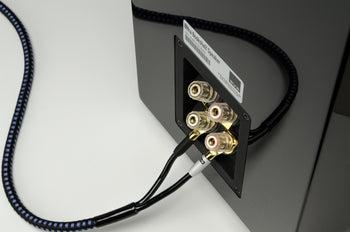 SVSound SoundPath 6 Feet Ultra Speaker Cable - SVS-SP-ULTSPKBAN6F
