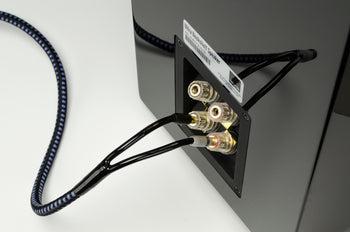 SVSound SoundPath 6 Feet Ultra Speaker Cable - SVS-SP-ULTSPKBAN6F