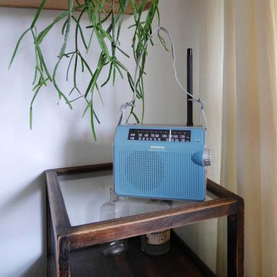 Sangean AM / FM Retro Strap Analog Radio - 14PRD6BU