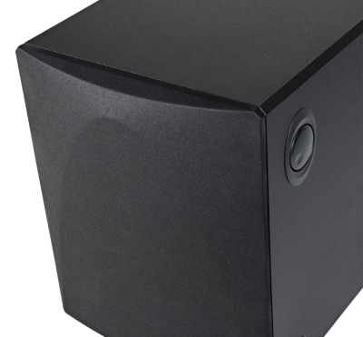 Definitive Technology High-Output Compact-Powered Subwoofer- Pro Sub 1000 (B)