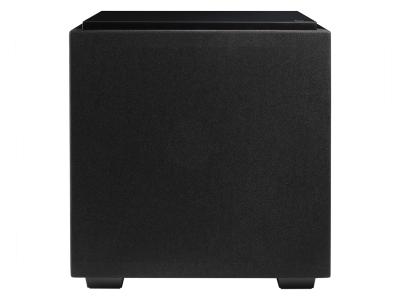 Definitive Technology Ultra-Performance Subwoofer With Dual 10 Inch Bass Radiators - DNSUB10