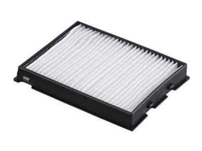 Epson Replacement Air Filter - V13H134A37