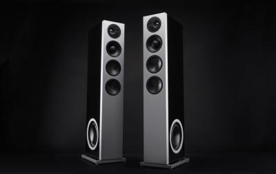Definitive Technology Demand Series High-Performance 3-Way Tower Speaker With Dual 8 Inch Passive Bass Radiators In Black - D15 Right (B)