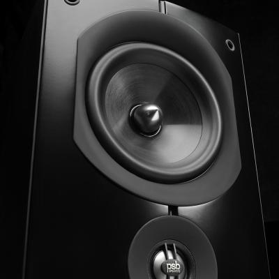 PSB Speakers Floor-Standing Speaker - Imagine X2T