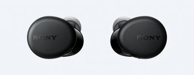 Sony Truly Wireless Headphones With Extra Bass In Black - WFXB700/B