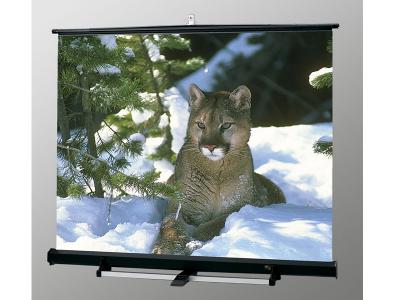 Draper Portable Projection Screen Luma 2/R