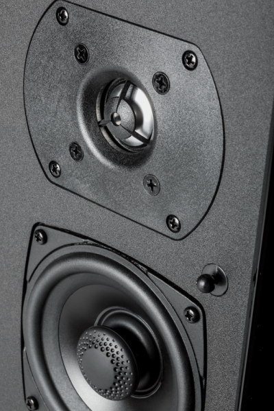 Definitive Technology High-Performance Bipolar Surround Speaker SR9080