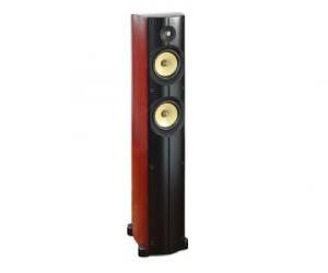 Floor Standing Speakers